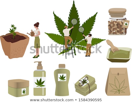 Stockfoto: Cannabis Cultivation Concept Vector Illustration