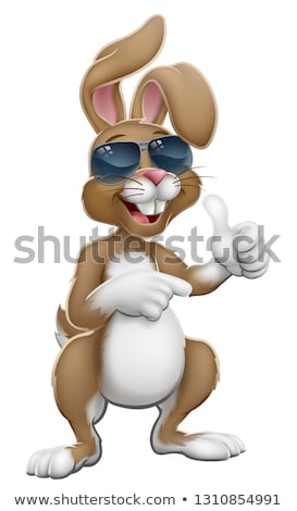 Foto stock: Easter Bunny Rabbit Cartoon Thumbs Up And Pointing