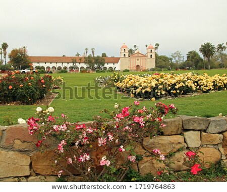 Stock photo: Mission Red Roses Santa Barbara