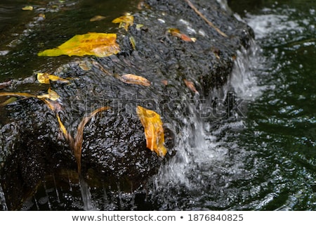 Stock photo: Waterfall In Forest Crystal Clear Water