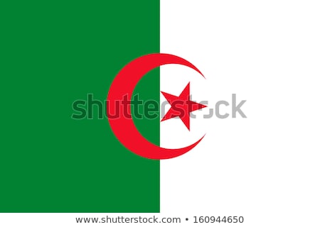 Сток-фото: Algeria Flag Vector Illustration