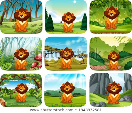 Stockfoto: Lion Different Scene Pack