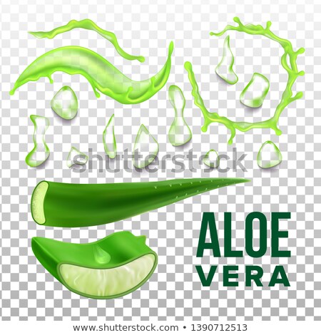 Stock foto: Elements Of Eco Healthcare Aloe Vera Set Vector