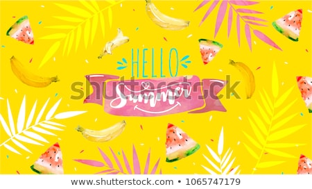 Abstract Modern Summer Vector Design With Letters Stock foto © brainpencil