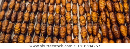 Сток-фото: Grill And Fried Silkworm Pupae On Stick From Wangfujing Street At Beijing China Banner Long Format
