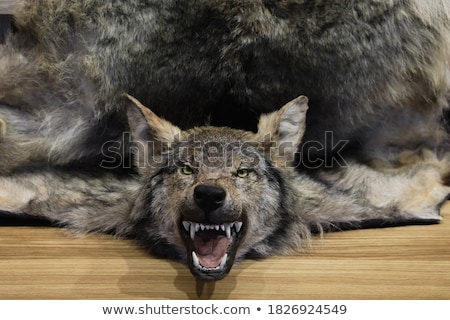 [[stock_photo]]: Head Of Scarecrow Of Predator