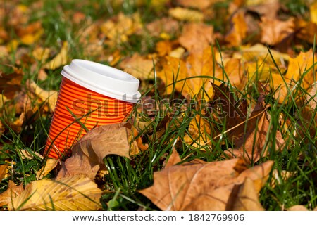 Foto d'archivio: The Boy Gathers Yellow Leaves In Autumnal Garden