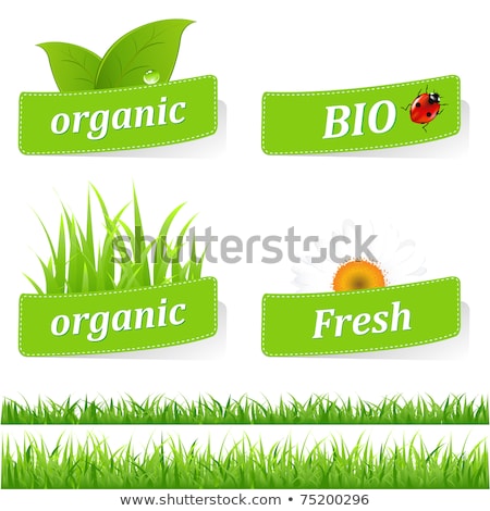 Stok fotoğraf: Green Grass Tag For Spring Design