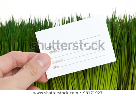 Stock fotó: Address Book And Green Grass