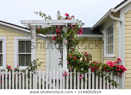 Stockfoto: Wild Flowers Growing Over White Picket Fence