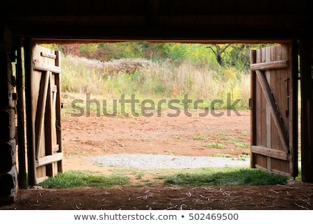 Foto stock: Old Door And Foliage