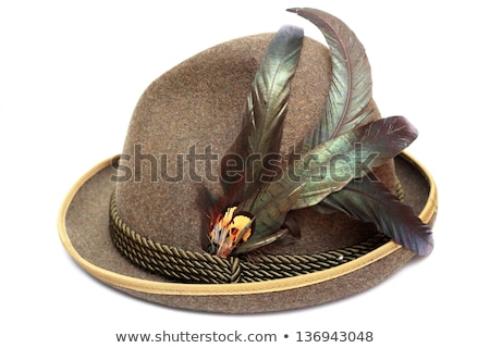 Sombrero de fieltro alpino Foto stock © taviphoto