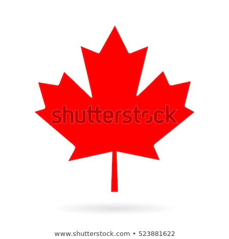 Foto d'archivio: Maple Leaf