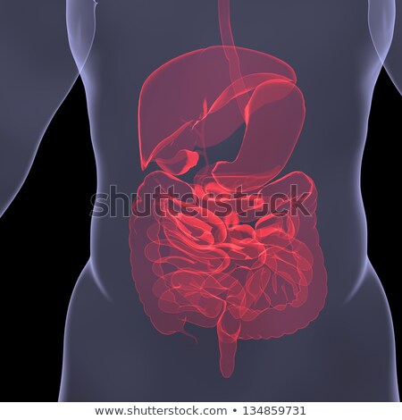 X Ray Picture Of A Person Sore Digestion [[stock_photo]] © cherezoff