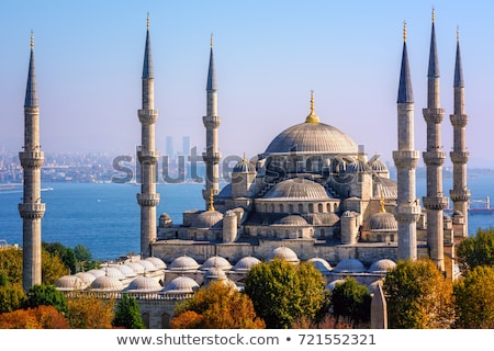 Stok fotoğraf: The Blue Mosque In Istanbul Turkey