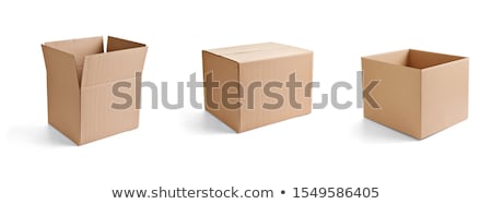 Stock fotó: Blank Cardboard Box Isolated On White