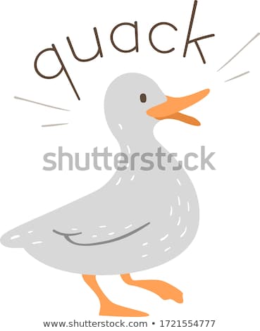 Stock photo: Quack