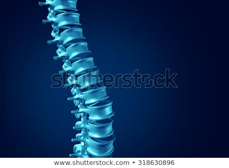 Foto stock: Human Spine Concept