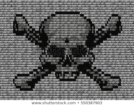 Stock foto: Skull And Crossbones Online Threat Concept