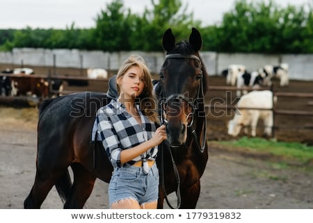 Stok fotoğraf: Girls At A Stable