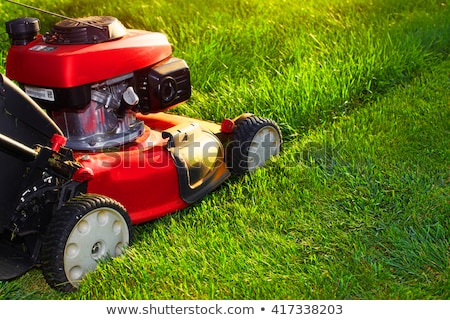 Stock fotó: Mowing The Lawn