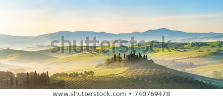 Foto stock: Tuscan Countryside