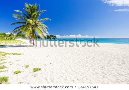 Stockfoto: Foul Bay Barbados Caribbean