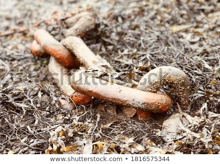 Foto stock: Boat And Low Tide