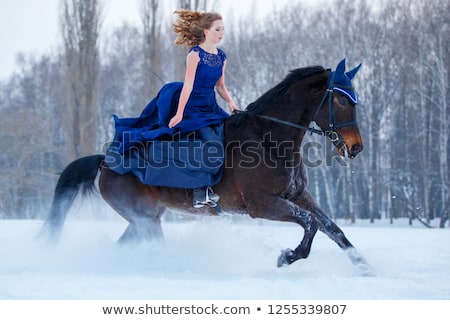 ストックフォト: Mountain Trees In The Snow Dresses