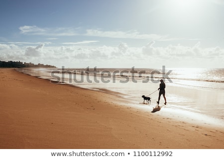 Foto stock: Summer Vacation Woman With A Dog On A Walk On The Beach