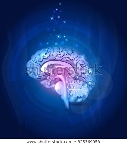 Сток-фото: Brain Cross Section Arteries Abstract Background