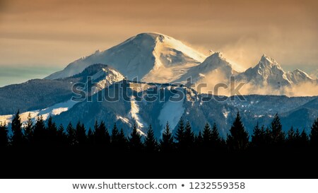 Stock photo: Mount Baker At Sunrise