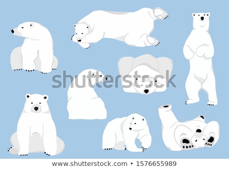 Stock fotó: Cute Polar Bear