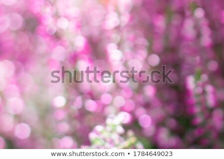 Foto stock: Blurred Background Is Green Creative Natural Layout With Yellow Bokeh Circles