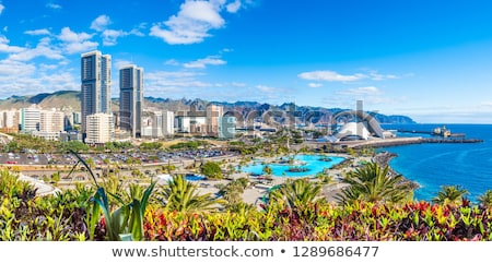 Stockfoto: Santa Cruz De Tenerife Spain