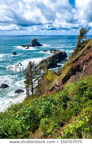 Stock fotó: Rugged Rocky Beach On The Oregon Coast