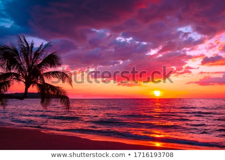 Foto stock: Beautiful Sunset