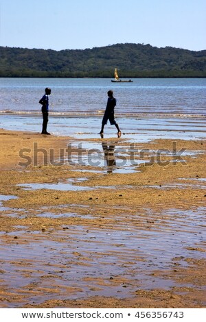 Zdjęcia stock: Rock Stone Branch Hill In Madagascar Nosy Be