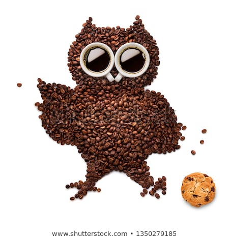 Zdjęcia stock: Owlet With Cookie