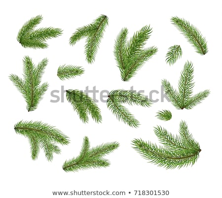 Foto stock: Christmas Decorations And Evergreen Fir Tree Branch