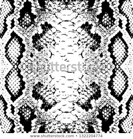 Stock photo: Snake Scales Background
