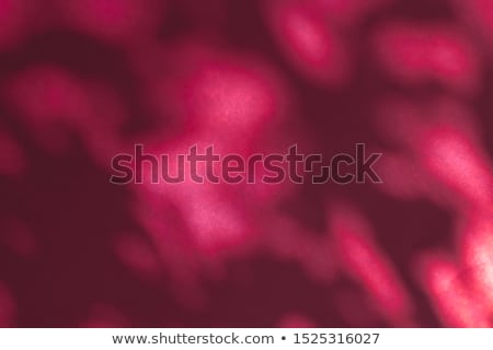 [[stock_photo]]: Abstract Art Botanical Shadows Overlay On Maroon Background For