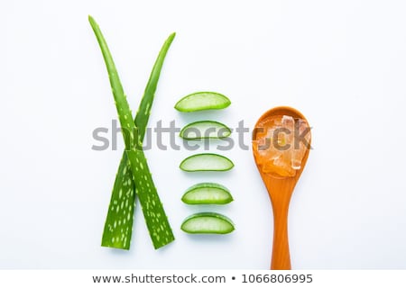 Stockfoto: Aloe Vera Is A Popular Medicinal Plant For Health And Beauty