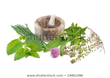 Stok fotoğraf: Mortar And Pestle With Fresh Herbs Over White