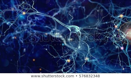 Stockfoto: Neurons Network