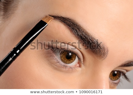 Stock photo: Brush Eyebrows