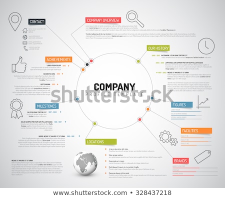 Foto stock: Vector Company Infographic Overview Design Template