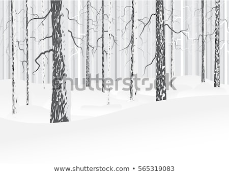 [[stock_photo]]: Grey Winter Landscape In The Forest