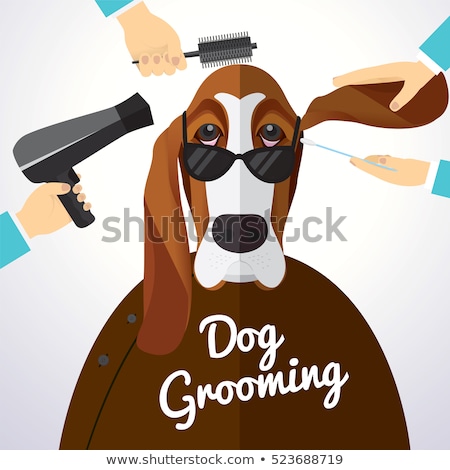 [[stock_photo]]: Cartoon Basset Hound Bath