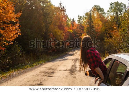 [[stock_photo]]: Girl And Car Window